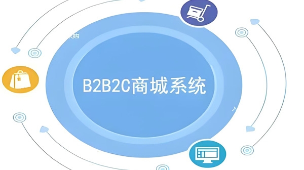 B2C商城系统费用解析：如何高效构建您的电子商务平台