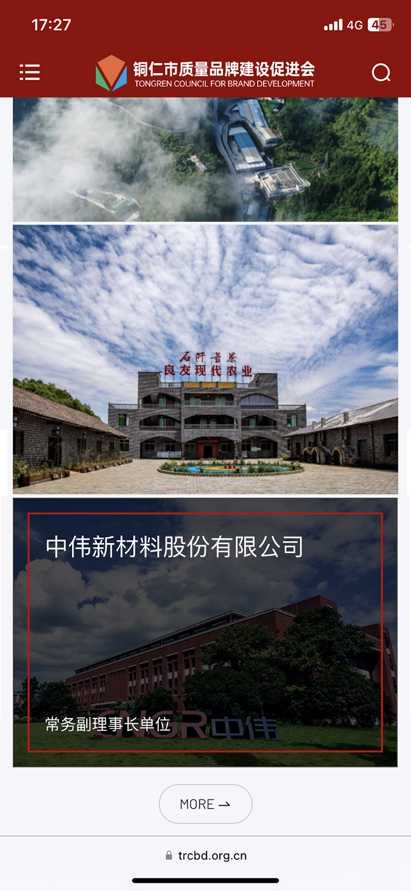 铜仁品牌促进会,协会官网设计,贵州协会官网,协会官网建设